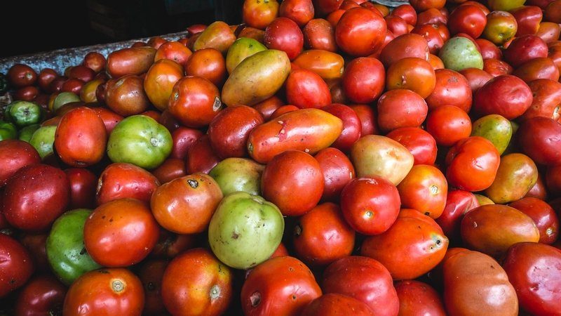 O tomate subiu 37% em um mês — e a comida voltou a encarecer dentro e fora de casa